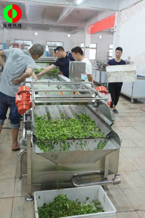 客戶親臨我司實(shí)地考察工廠及蔬果切割清洗生產(chǎn)線設(shè)備！