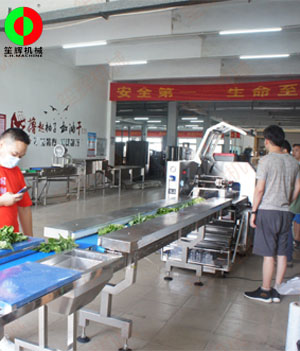 枕式蔬果包裝生產(chǎn)線,客戶現(xiàn)場(chǎng)測(cè)試驗(yàn)收！
