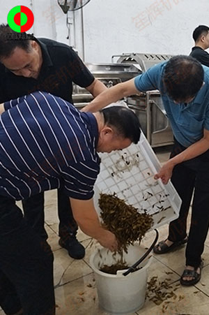 客戶(hù)來(lái)廠(chǎng)測(cè)試驗(yàn)貨果蔬清洗加工設(shè)備！